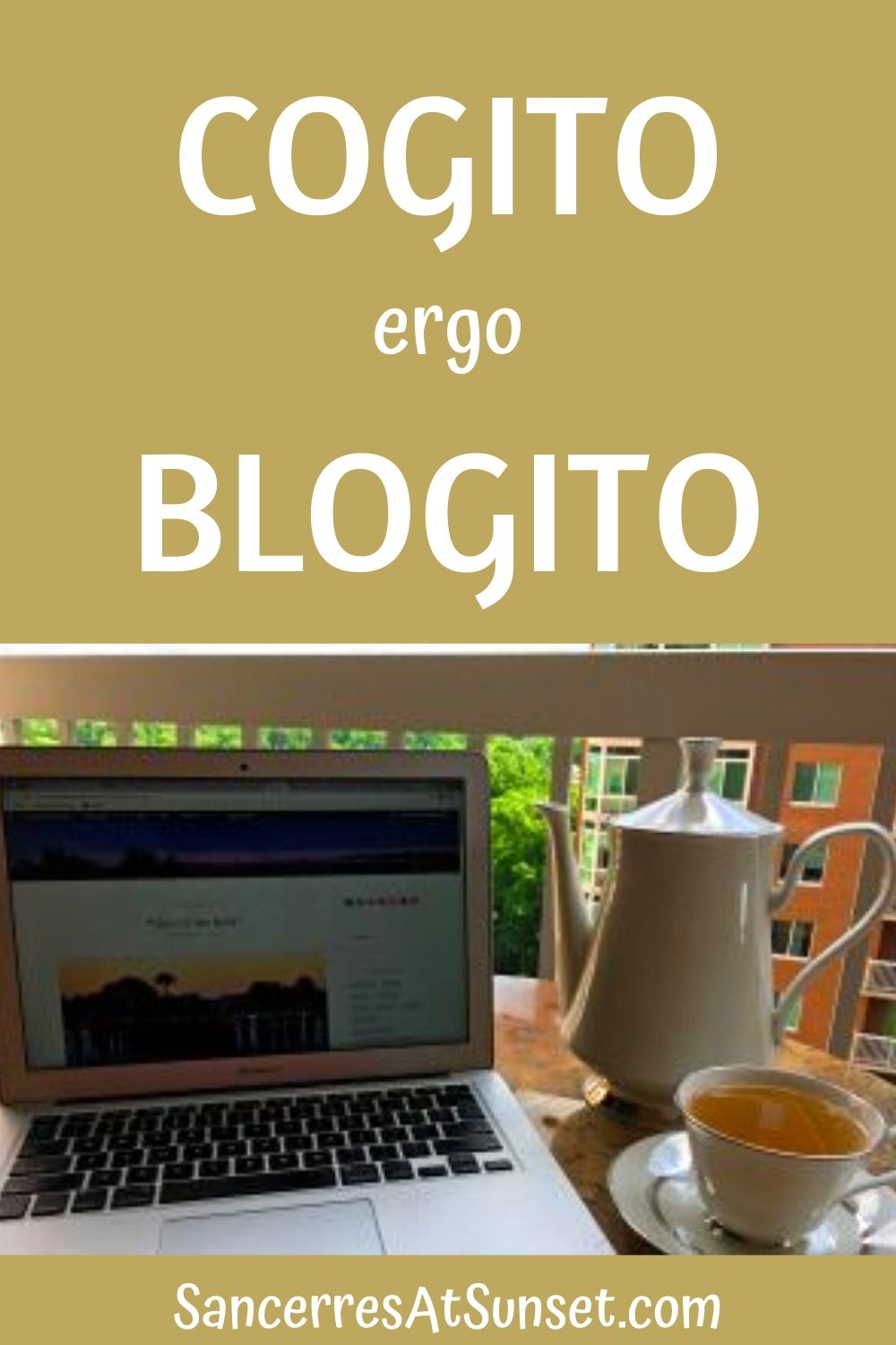 Cogito Ergo Blogito