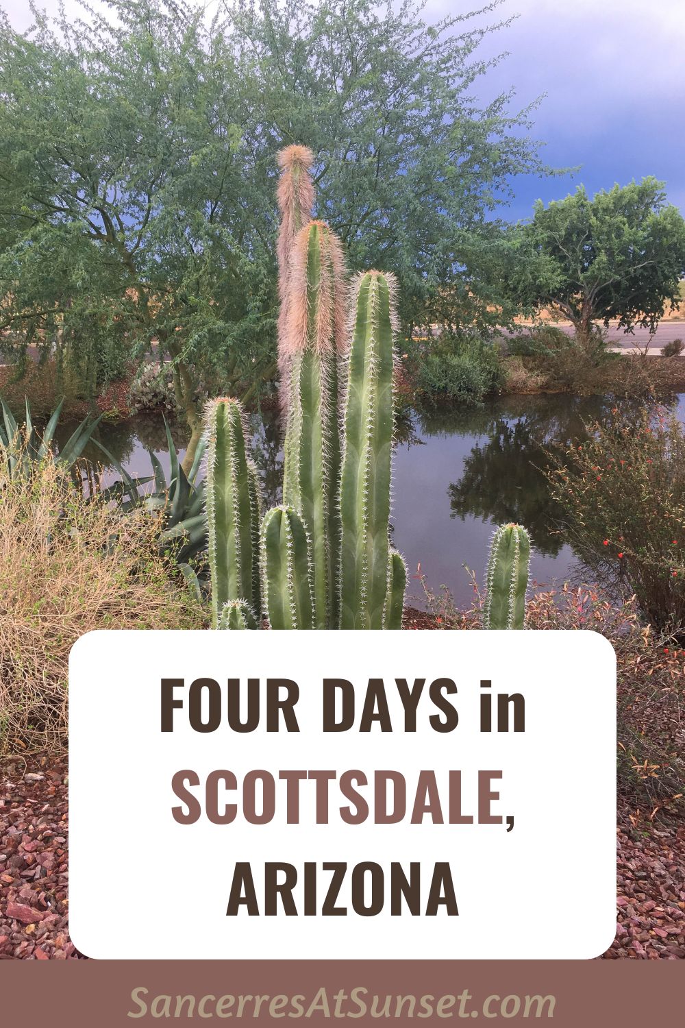 Four Days in Scottsdale