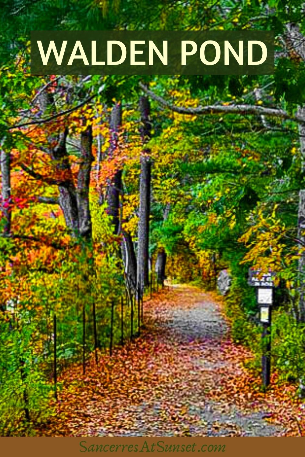 Walden Pond in Concord, Massachusetts