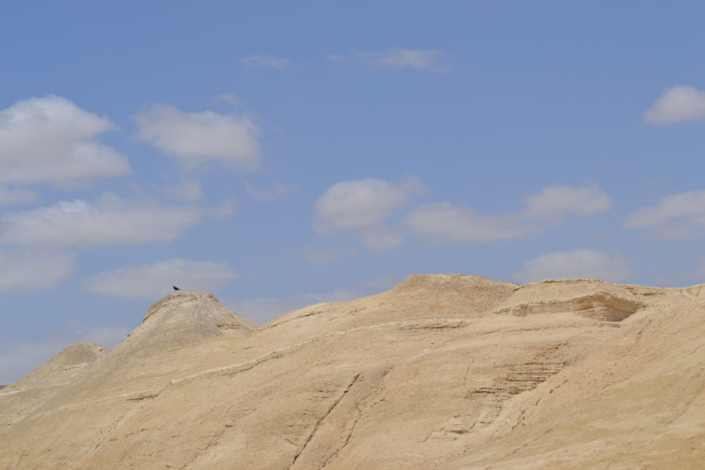 Jordan Valley Desert