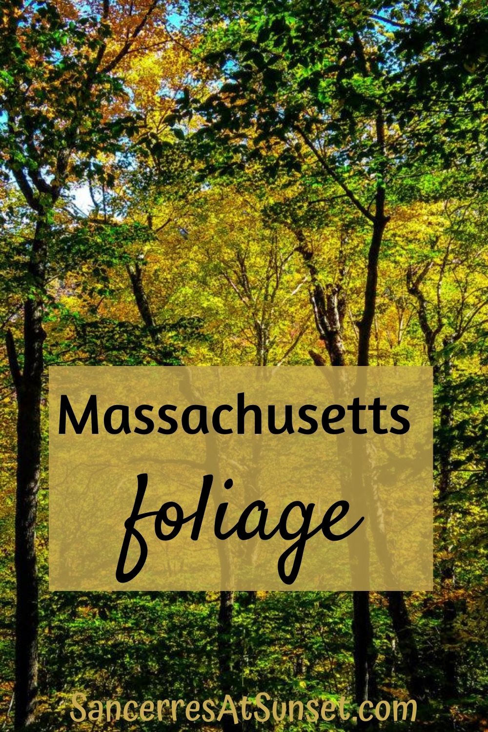 Fall Foliage in Massachusetts