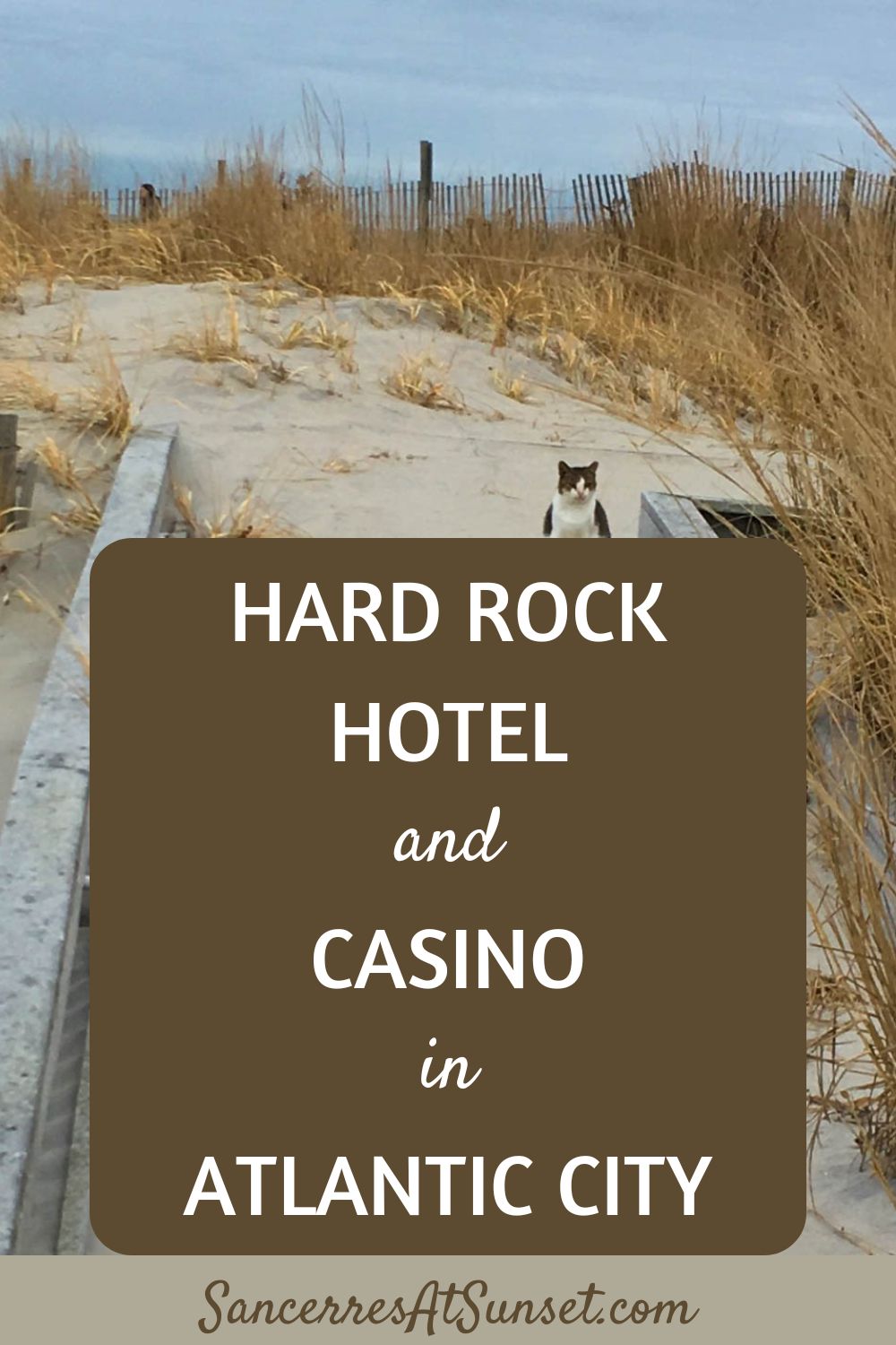 Hard Rock Hotel and Casino in Atlantic City