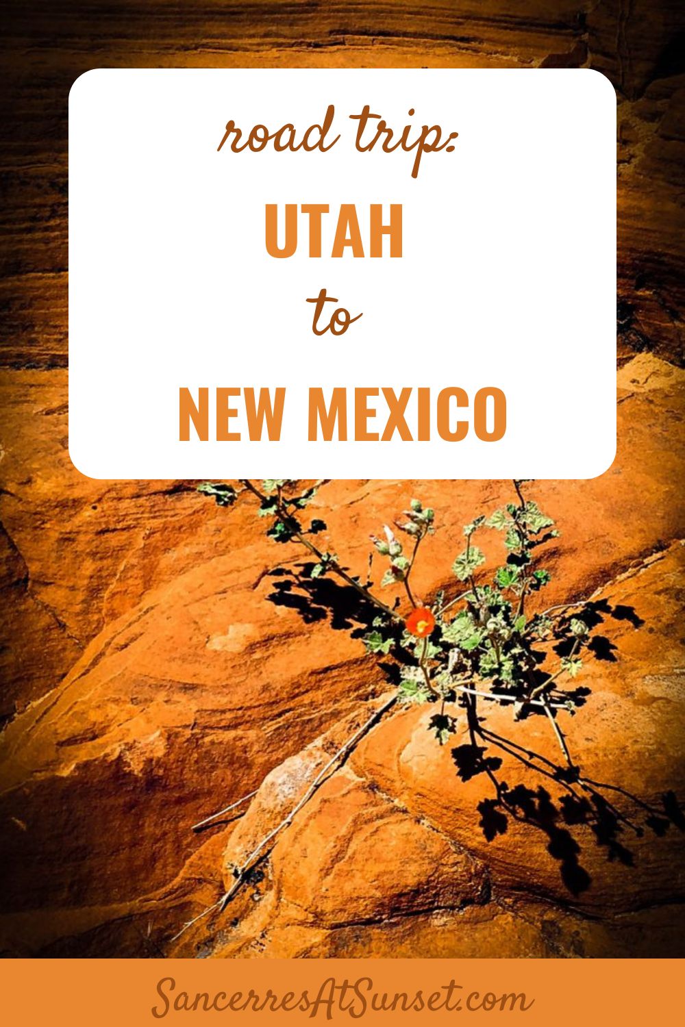 Road Trip:  Utah to New Mexico