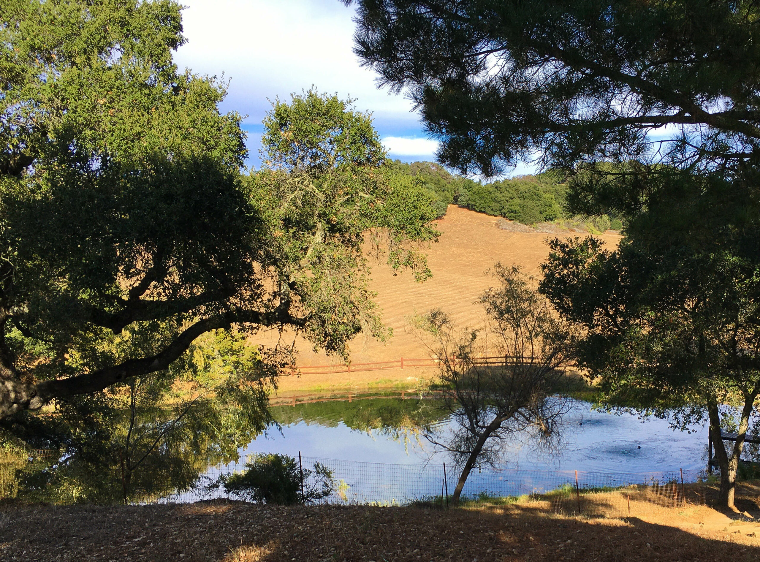 An Afternoon at Rancho del Cielo — Ronald Reagan’s beloved ranch in ...