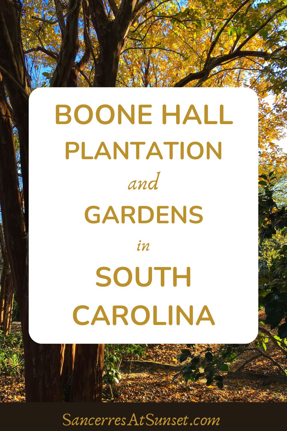 Boone Hall Plantation & Gardens in South Carolina