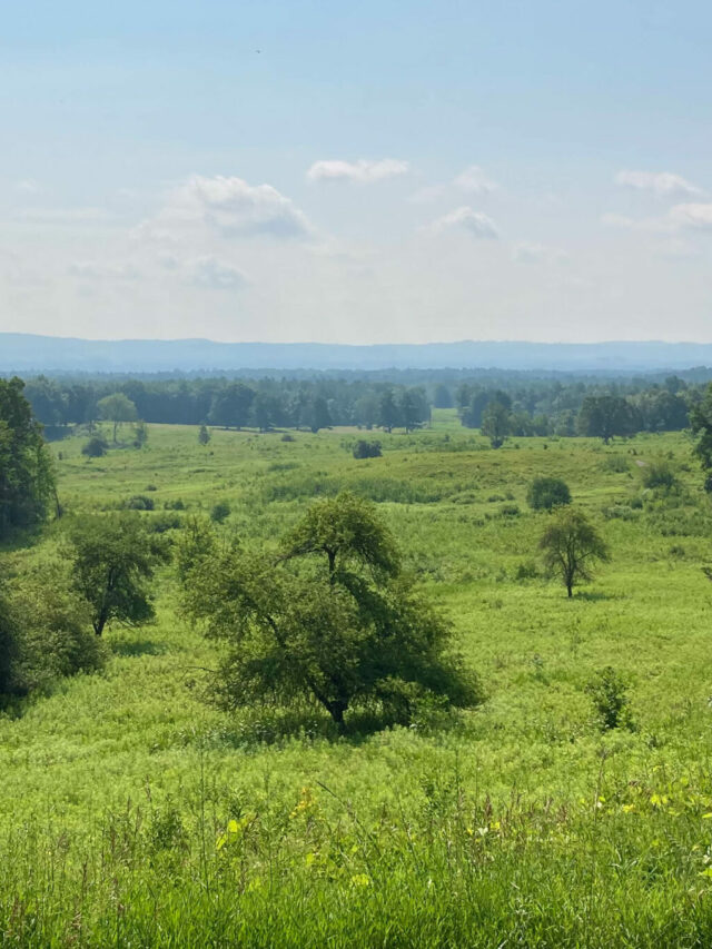 Saratoga National Historical Park in New York Story