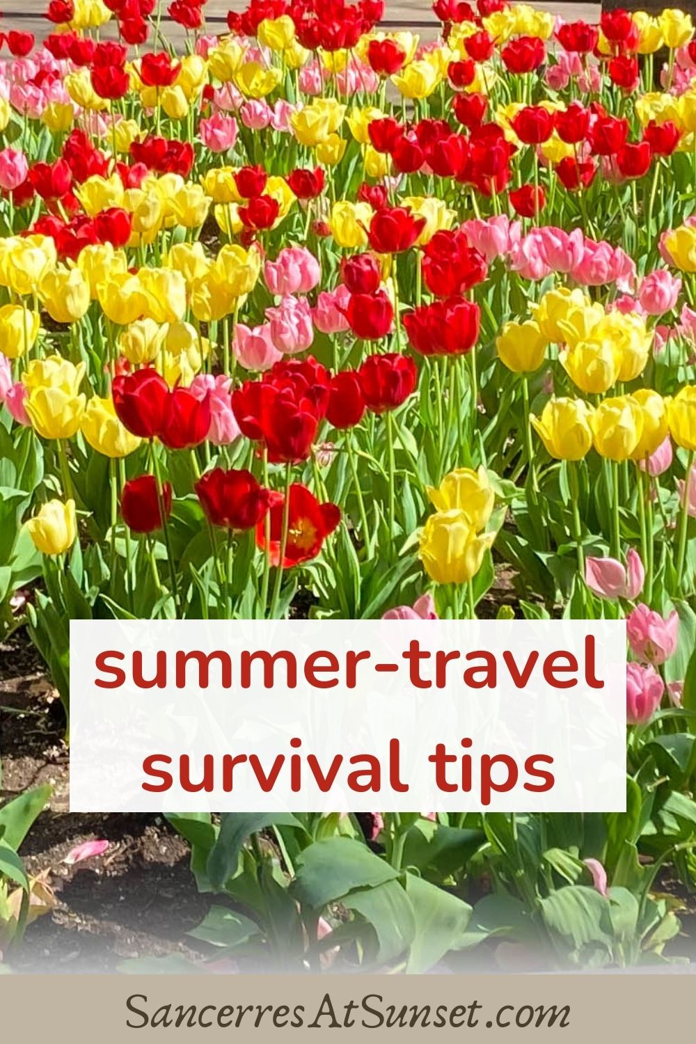 Summer-Travel Survival Tips