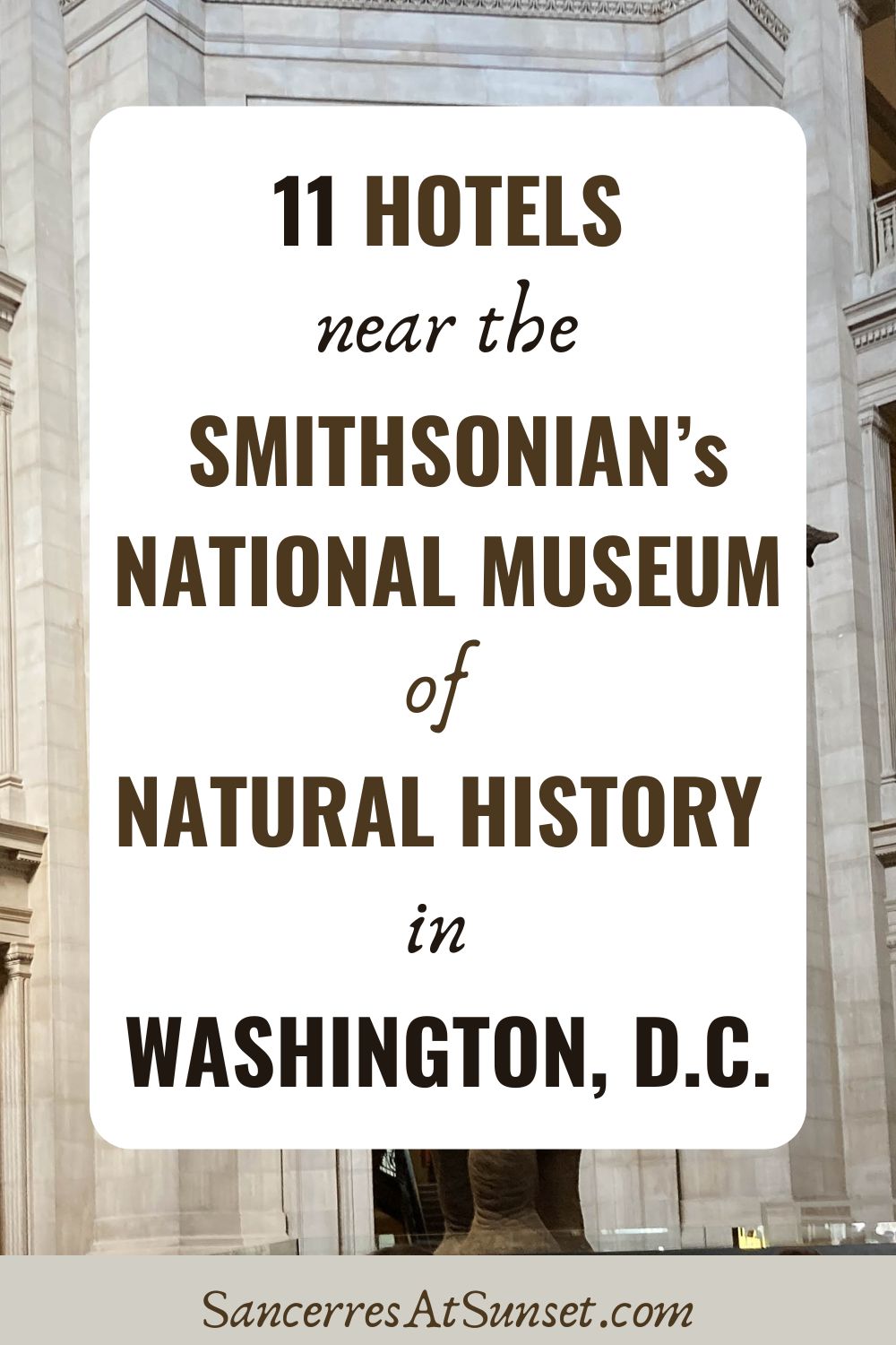 11 Hotels near the Smithsonian\'s National Museum of Natural History in Washington, D.C.