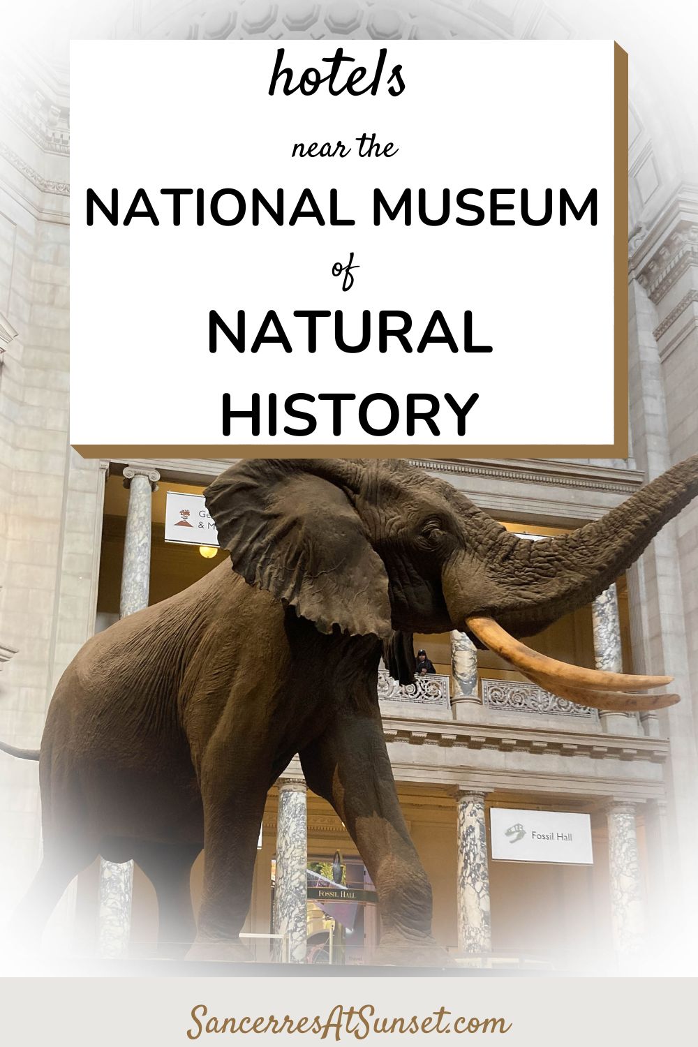 8 Hotels near the Smithsonian\'s National Museum of Natural History in Washington, D.C.