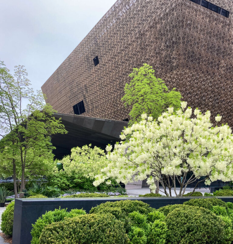 8 Hotels near the Smithsonian’s National Museum of African American History and Culture in Washington, D.C.