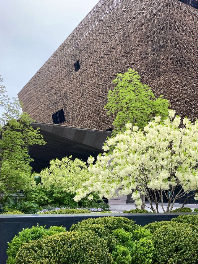 National Museum of African American History in Washington, D.C. Story