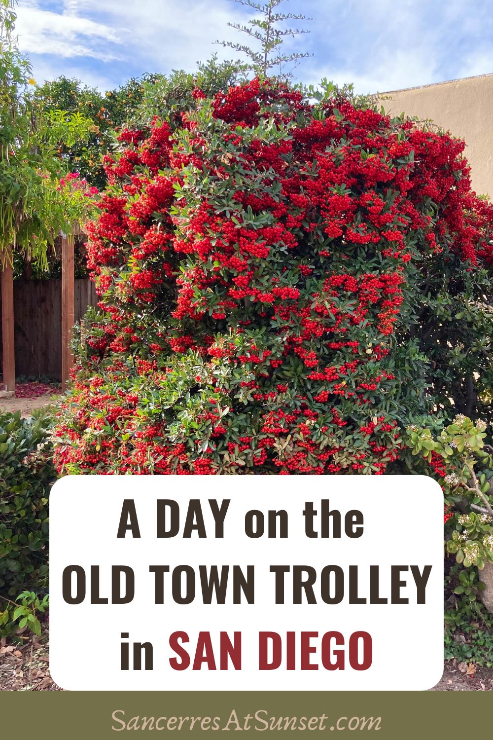 A Day on the Old Town Trolley in San Diego