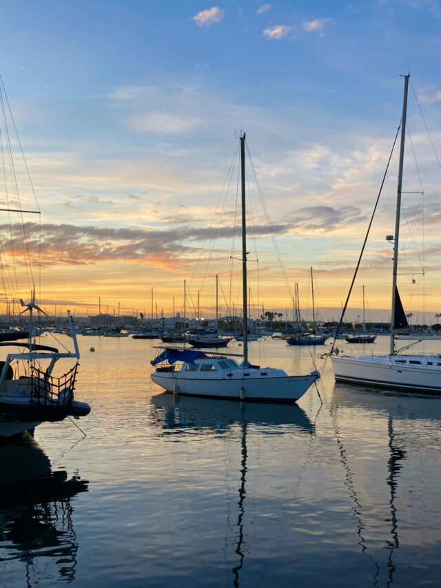 A Day along San Diego Bay Story