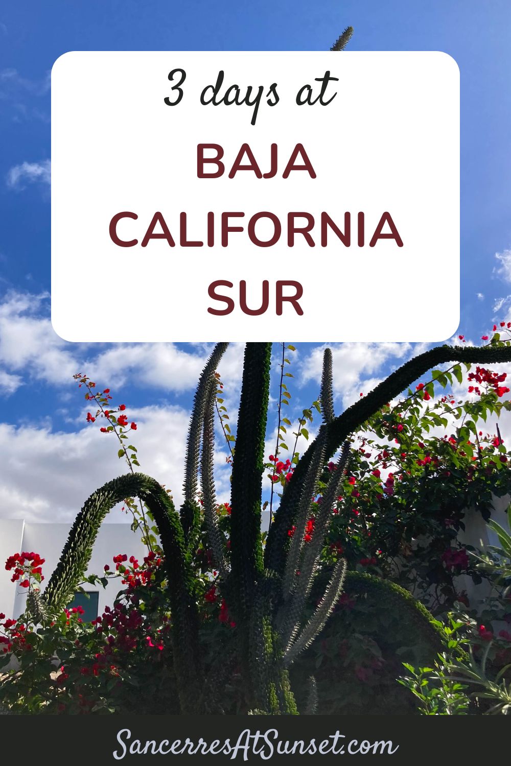 Three Days at Baja California Sur